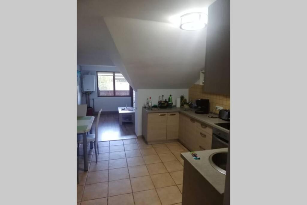 Large Vacation Apartment In Poiana Brasov Bagian luar foto