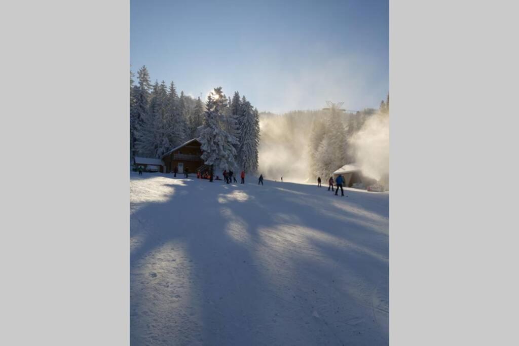 Large Vacation Apartment In Poiana Brasov Bagian luar foto